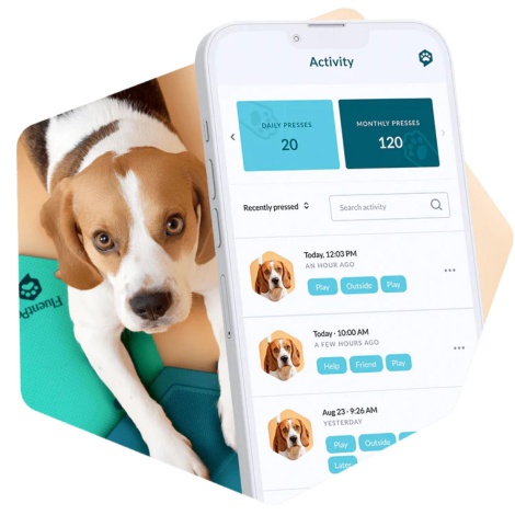 FluentPet Connect, el primer sistema para comunicarnos con nuestros perros y gatos