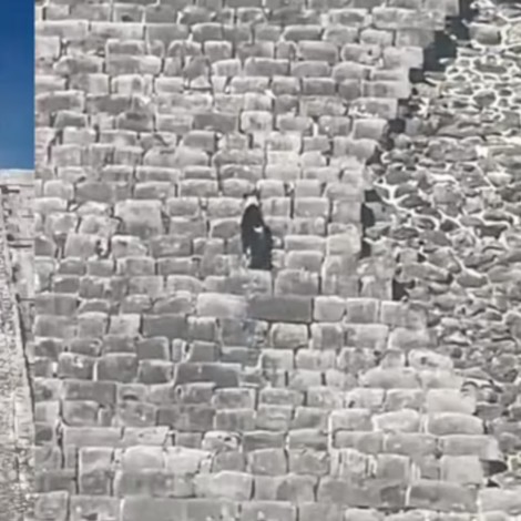 Perritos escalan la Pirámide de Chichén Itzá y el VIDEO se hace viral