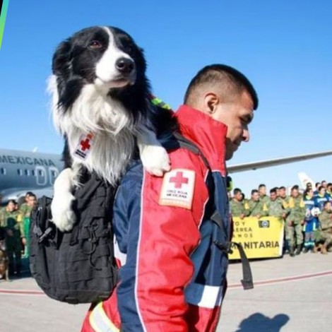 Mujer argentina llama "infumables" a los mexicanos y critica a perritos rescatistas