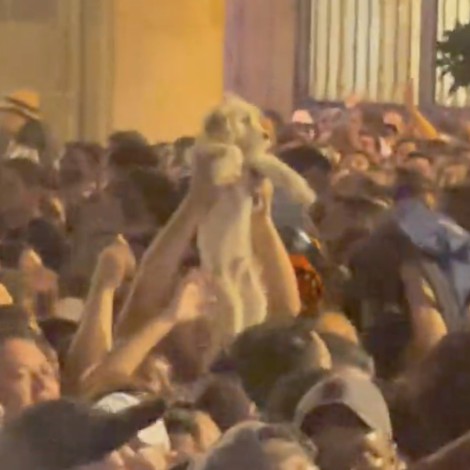 Perrito se unió al slam del concierto de Los Fabuloso Cadillacs en el Zócalo | VIDEO
