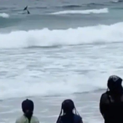 Graban a una “sirena” en playas de Tijuana