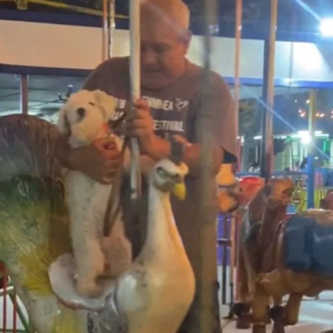 Abuelito se hace VIRAL al subirse al carrusel con su perrito